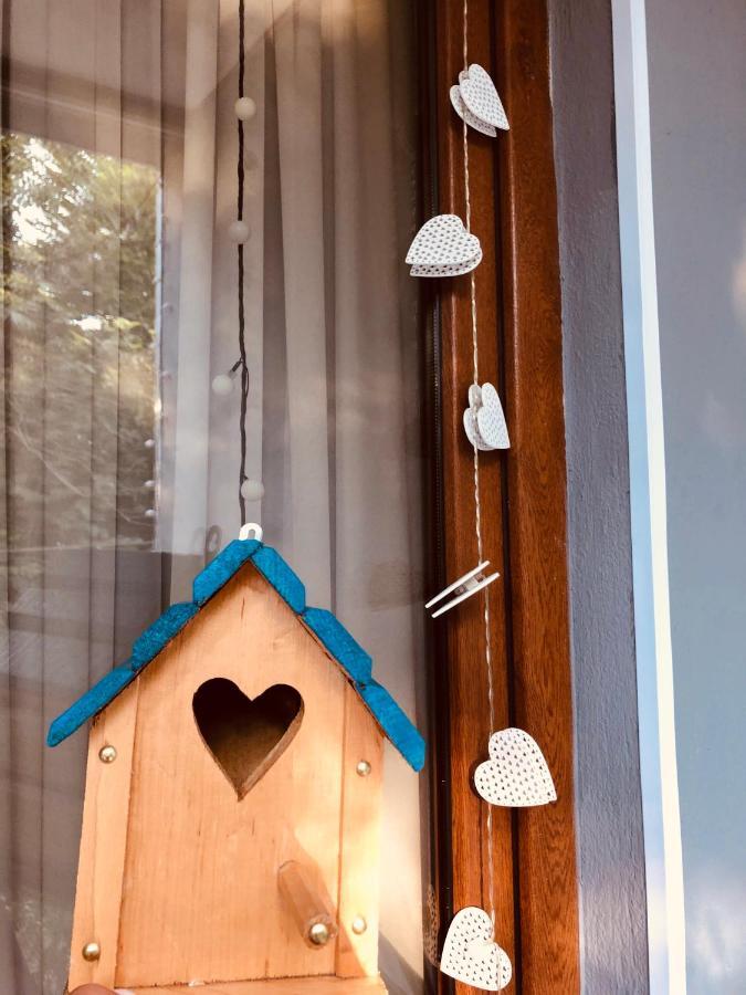 Sweet Apartment In クタイシ エクステリア 写真