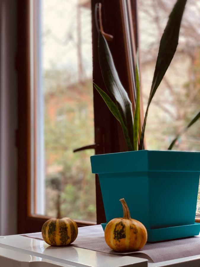 Sweet Apartment In クタイシ エクステリア 写真